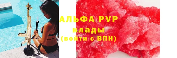 молекула духа Каменногорск