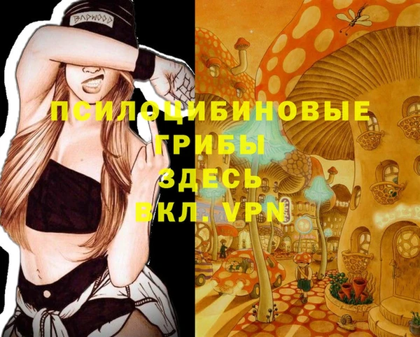 молекула духа Каменногорск