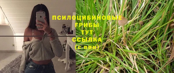 мяу мяу кристалл Каменка