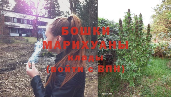 молекула духа Каменногорск