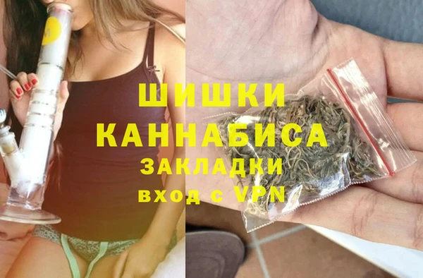 молекула духа Каменногорск