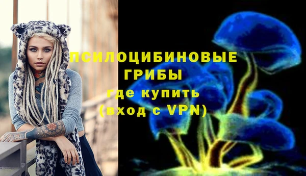 молекула духа Каменногорск