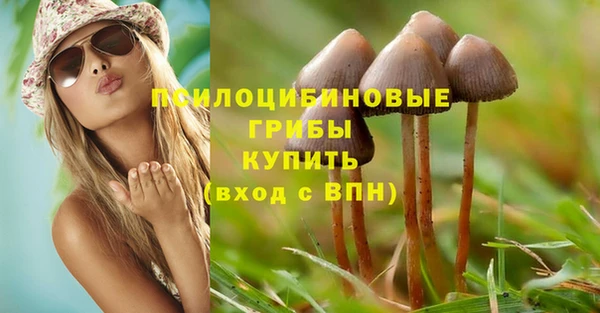 spice Каменск-Шахтинский