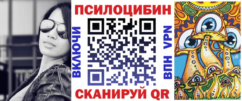 Псилоцибиновые грибы Psilocybine cubensis  Купить где  Дагестанские Огни 